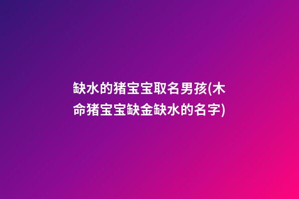 缺水的猪宝宝取名男孩(木命猪宝宝缺金缺水的名字)