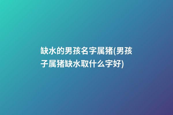 缺水的男孩名字属猪(男孩子属猪缺水取什么字好)