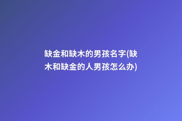 缺金和缺木的男孩名字(缺木和缺金的人男孩怎么办)