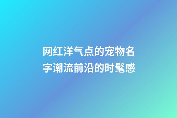 网红洋气点的宠物名字潮流前沿的时髦感