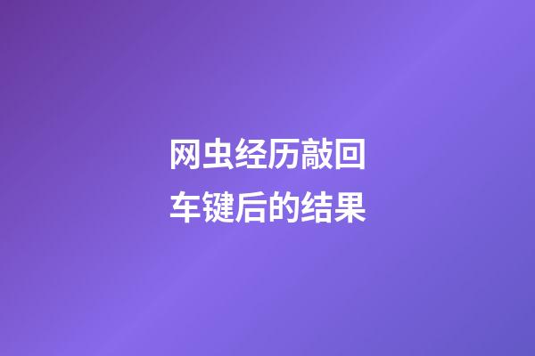 网虫经历敲回车键后的结果