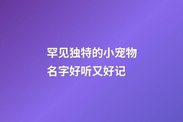罕见独特的小宠物名字好听又好记