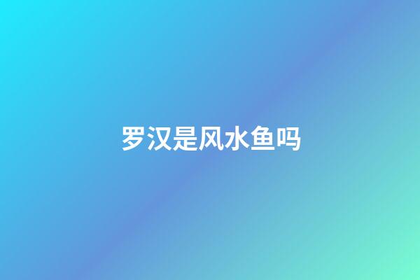 罗汉是风水鱼吗