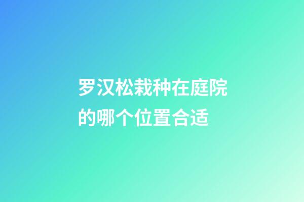 罗汉松栽种在庭院的哪个位置合适