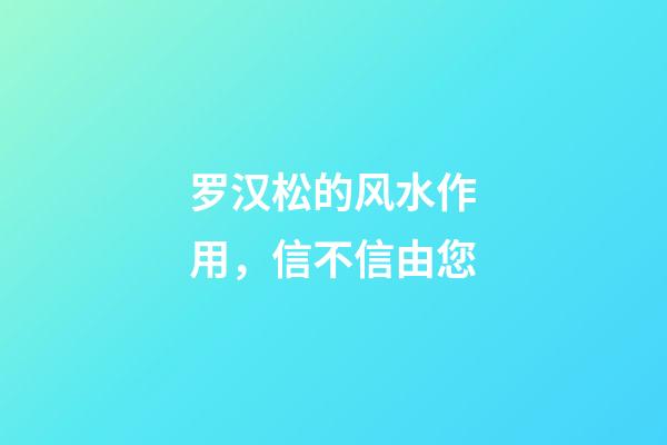 罗汉松的风水作用，信不信由您