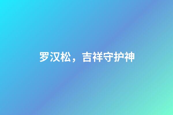 罗汉松，吉祥守护神