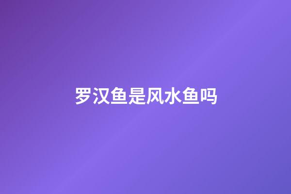 罗汉鱼是风水鱼吗