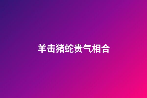 羊击猪蛇贵气相合