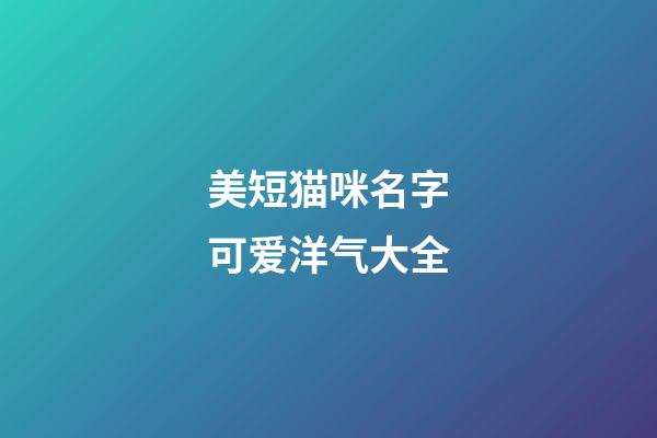 美短猫咪名字可爱洋气大全