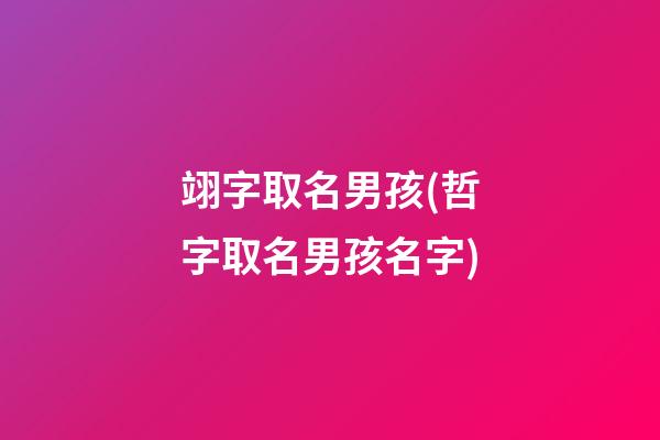 翊字取名男孩(哲字取名男孩名字)