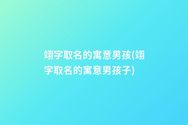 翊字取名的寓意男孩(翊字取名的寓意男孩子)