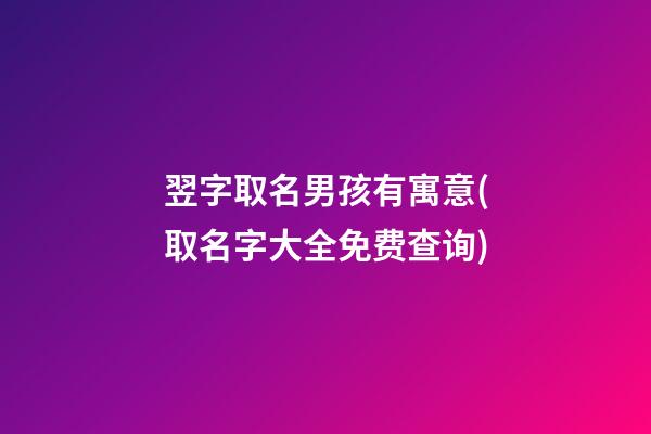 翌字取名男孩有寓意(取名字大全免费查询)