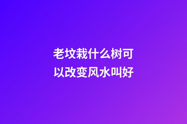 老坟栽什么树可以改变风水叫好