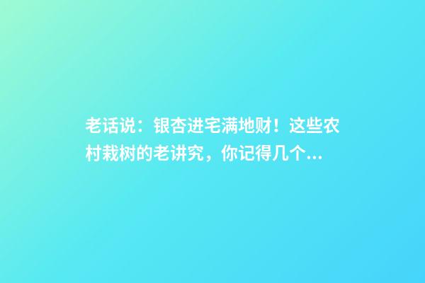 老话说：银杏进宅满地财！这些农村栽树的老讲究，你记得几个？