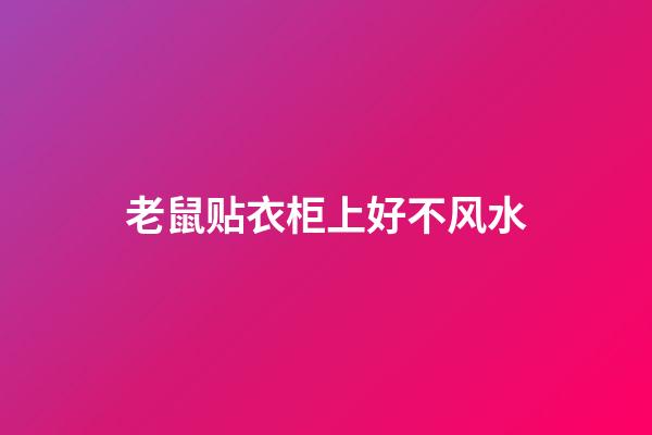 老鼠贴衣柜上好不风水