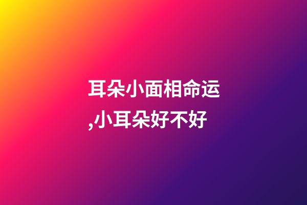 耳朵小面相命运,小耳朵好不好