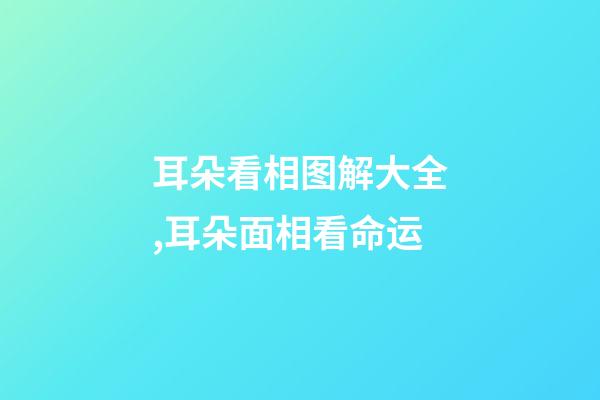 耳朵看相图解大全,耳朵面相看命运