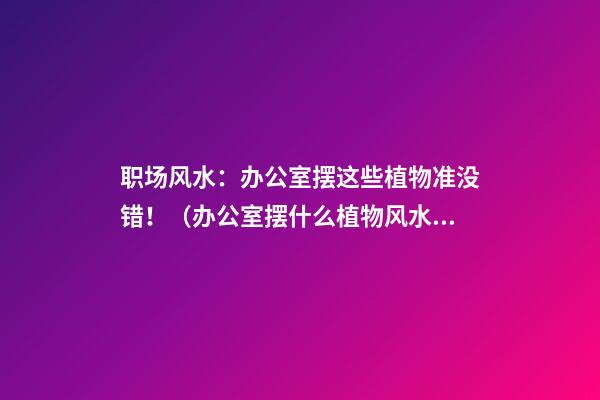 职场风水：办公室摆这些植物准没错！（办公室摆什么植物风水好）