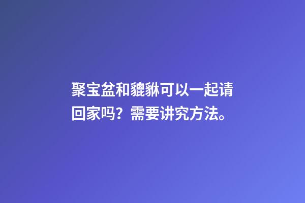 聚宝盆和貔貅可以一起请回家吗？需要讲究方法。