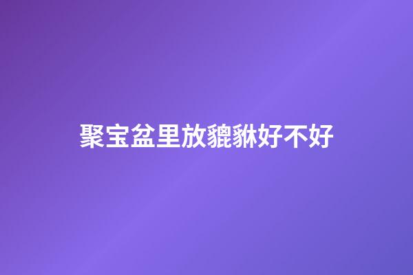 聚宝盆里放貔貅好不好