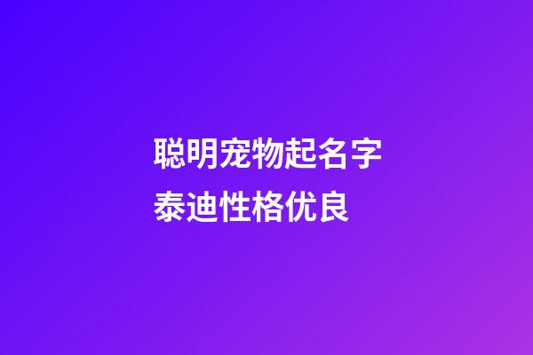 聪明宠物起名字泰迪性格优良