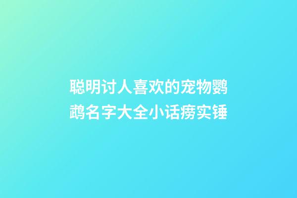聪明讨人喜欢的宠物鹦鹉名字大全小话痨实锤