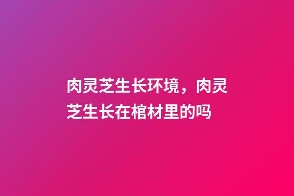 肉灵芝生长环境，肉灵芝生长在棺材里的吗