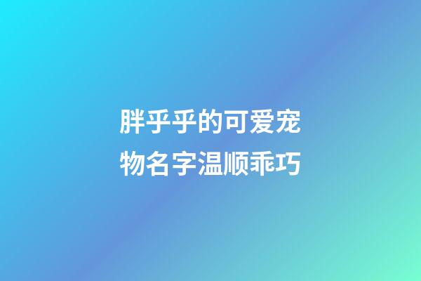 胖乎乎的可爱宠物名字温顺乖巧