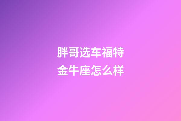 胖哥选车福特金牛座怎么样-第1张-星座运势-玄机派