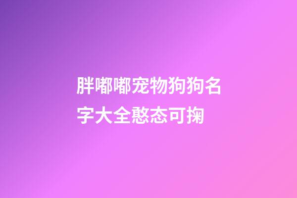 胖嘟嘟宠物狗狗名字大全憨态可掬