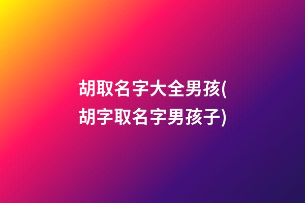 胡取名字大全男孩(胡字取名字男孩子)