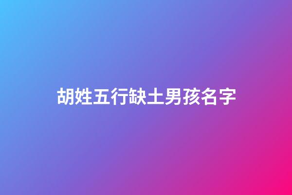 胡姓五行缺土男孩名字