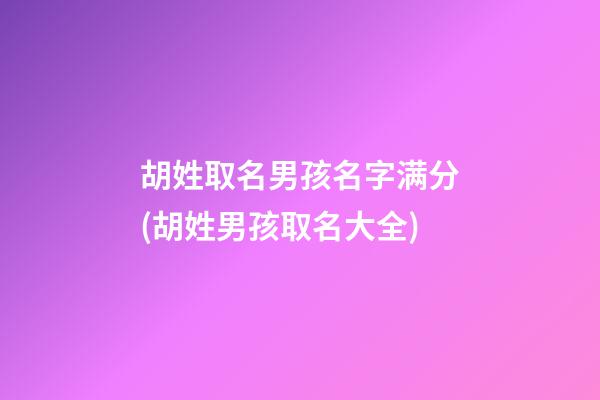 胡姓取名男孩名字满分(胡姓男孩取名大全)