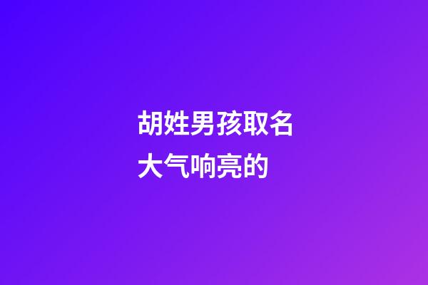胡姓男孩取名大气响亮的