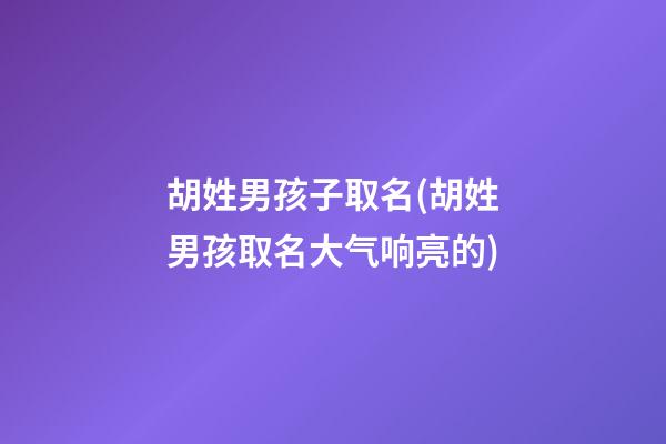 胡姓男孩子取名(胡姓男孩取名大气响亮的)