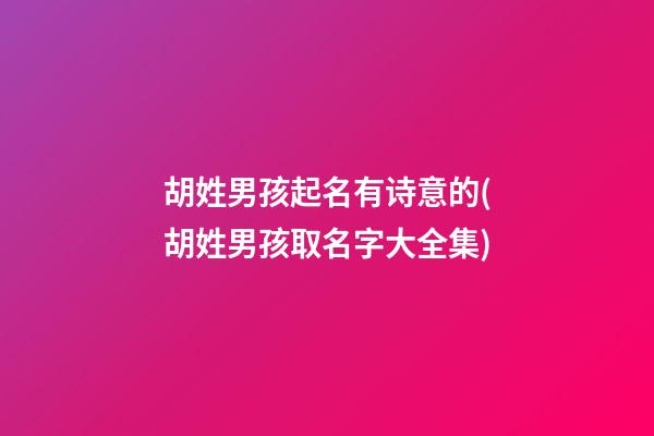 胡姓男孩起名有诗意的(胡姓男孩取名字大全集)