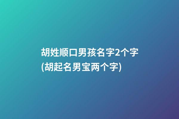 胡姓顺口男孩名字2个字(胡起名男宝两个字)