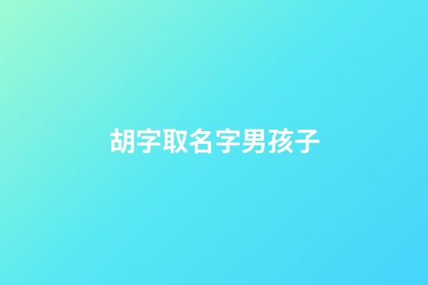 胡字取名字男孩子