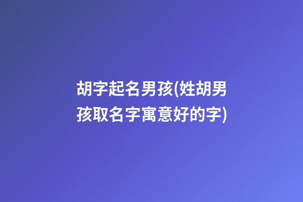 胡字起名男孩(姓胡男孩取名字寓意好的字)