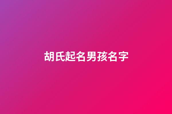 胡氏起名男孩名字
