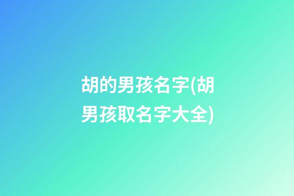 胡的男孩名字(胡男孩取名字大全)