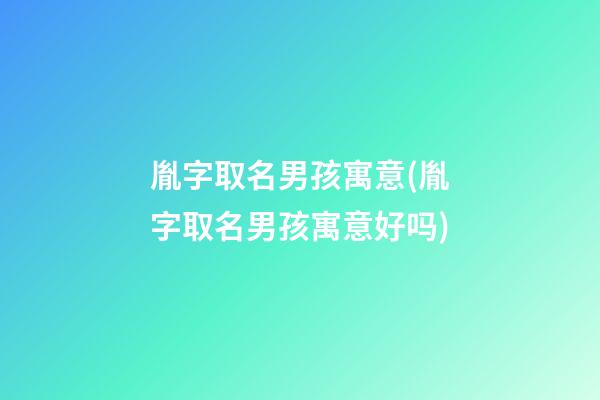 胤字取名男孩寓意(胤字取名男孩寓意好吗)