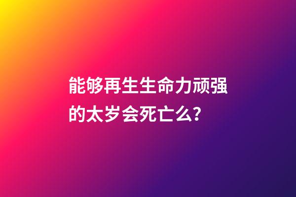 能够再生生命力顽强的太岁会死亡么？