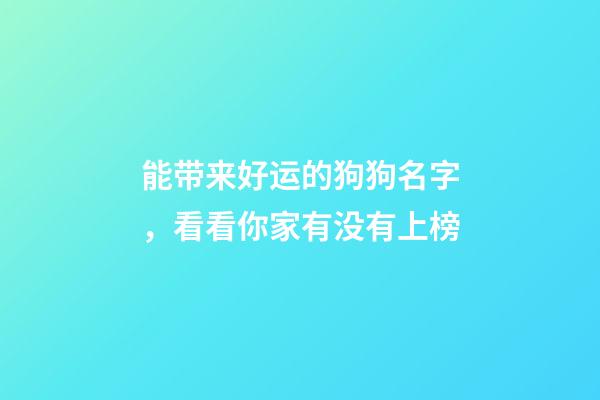 能带来好运的狗狗名字，看看你家有没有上榜