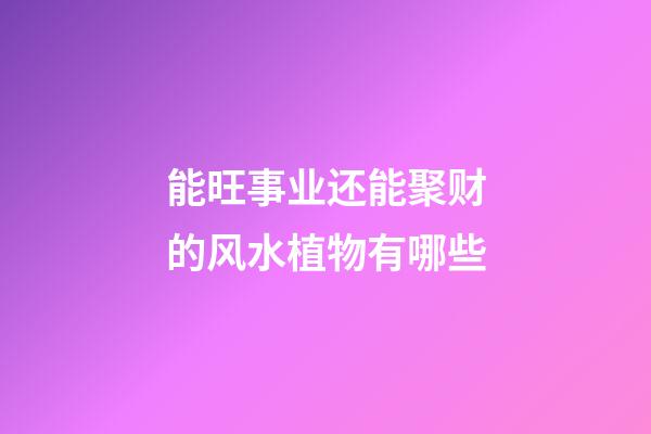 能旺事业还能聚财的风水植物有哪些