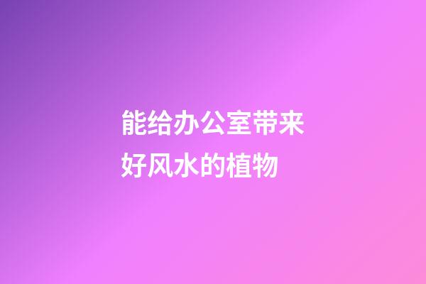 能给办公室带来好风水的植物