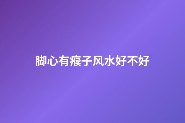 脚心有瘊子风水好不好