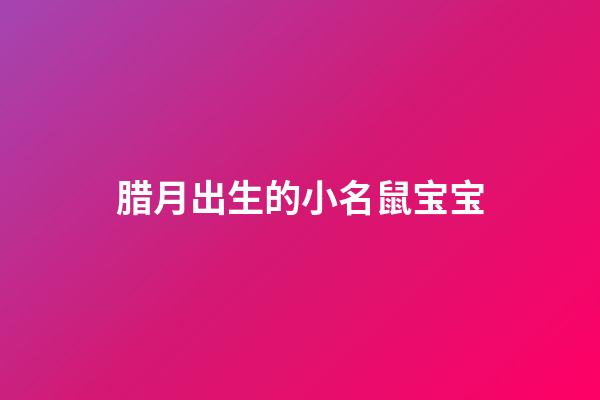 腊月出生的小名鼠宝宝