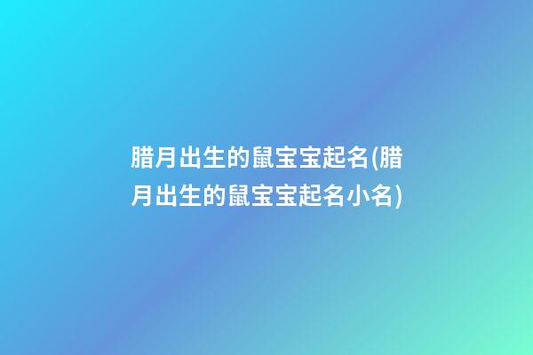 腊月出生的鼠宝宝起名(腊月出生的鼠宝宝起名小名)