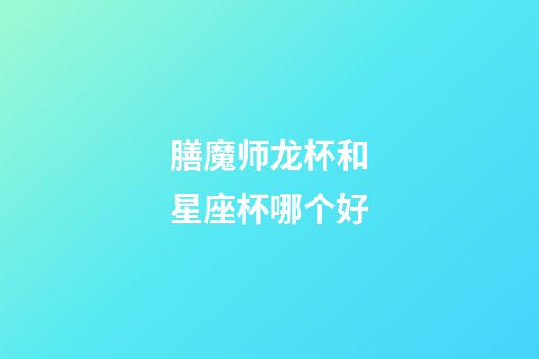 膳魔师龙杯和星座杯哪个好-第1张-星座运势-玄机派